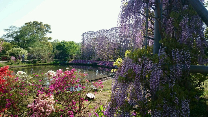 花園