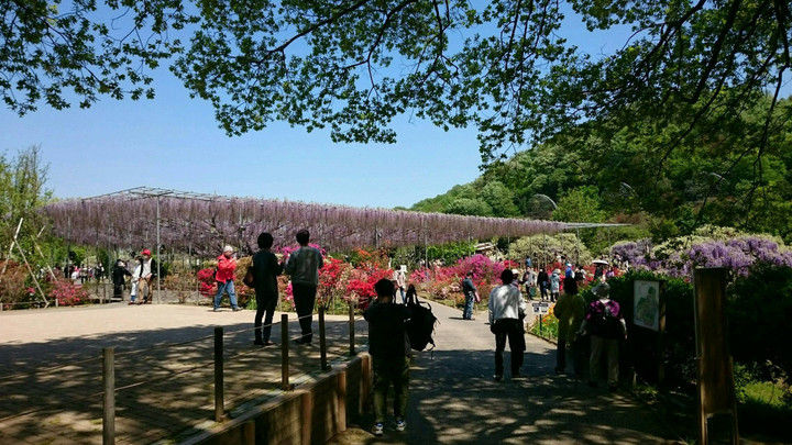 花園