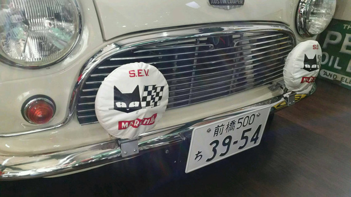 ネコが好き