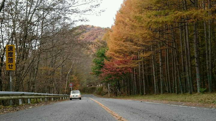 紅葉がり