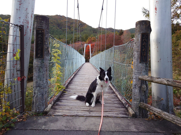 赤城山〜紅葉〜中腹