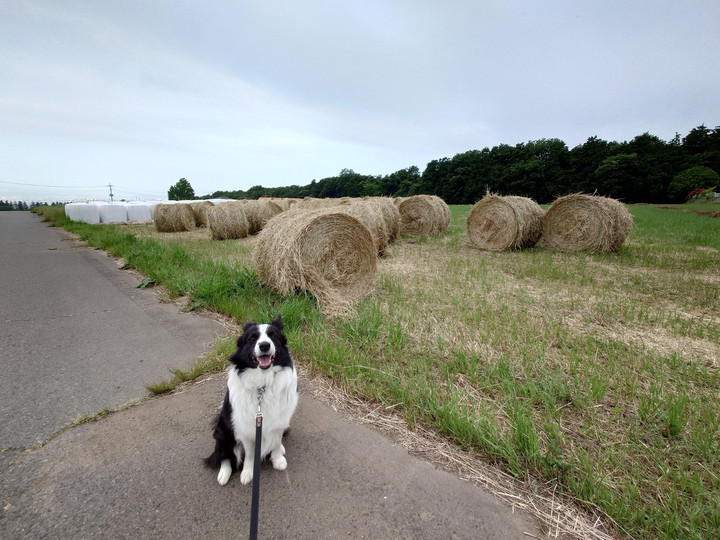 くしゃみ止まらず