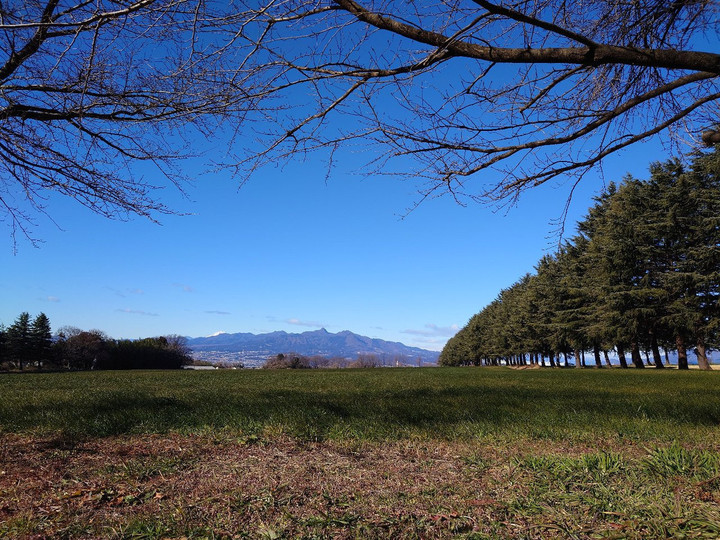 今日も良い天気！