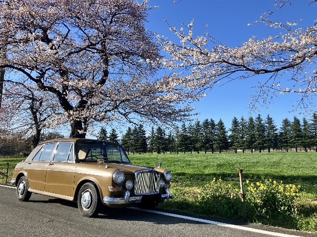 入庫しました！