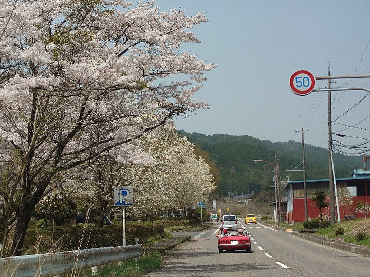 今日のブリクラ
