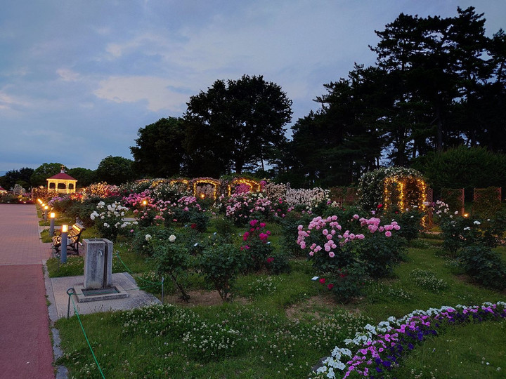 間に合った！？