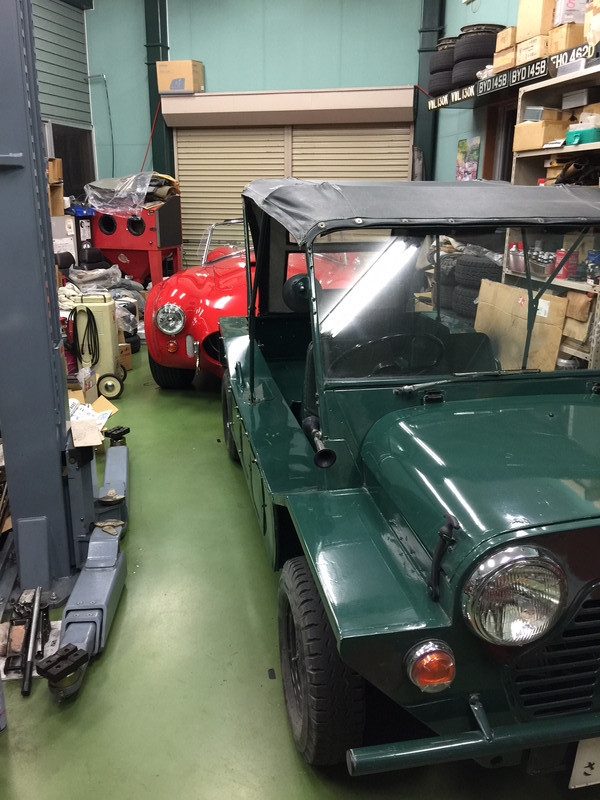 食べられそう…