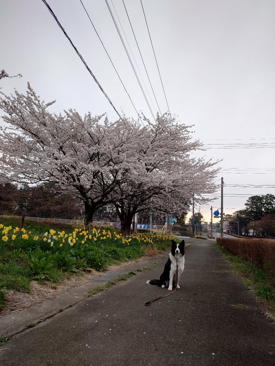 いつもの事さ…